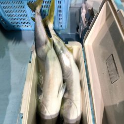 第二八坂丸 釣果