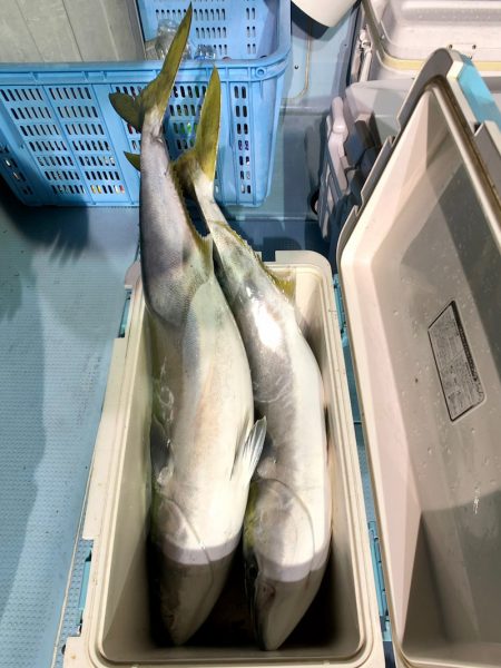 第二八坂丸 釣果