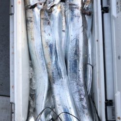 フィッシング キッタカ 釣果