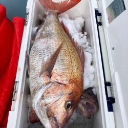 第二八坂丸 釣果