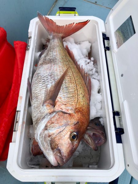 第二八坂丸 釣果