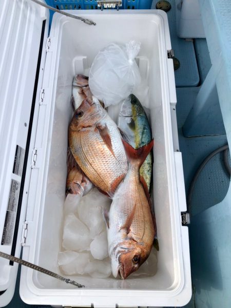 第二八坂丸 釣果