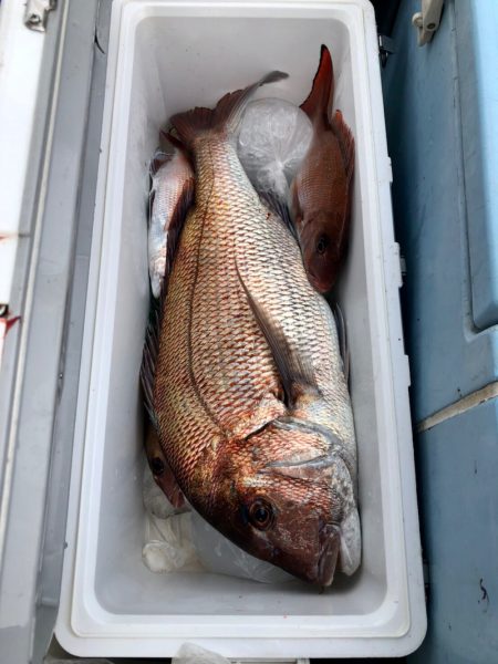 第二八坂丸 釣果