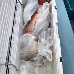 第二八坂丸 釣果