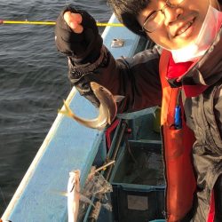 ヤザワ渡船 釣果