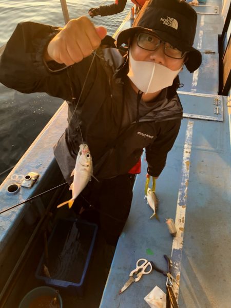 ヤザワ渡船 釣果