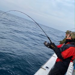 あみや渡船 JIGBOY 釣果