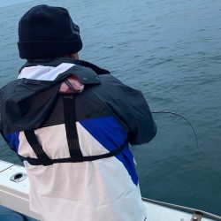 あみや渡船 JIGBOY 釣果