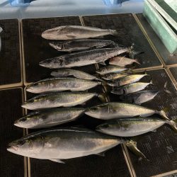 Monster Rush! 釣果