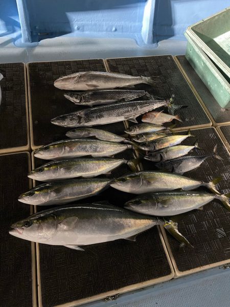 Monster Rush! 釣果