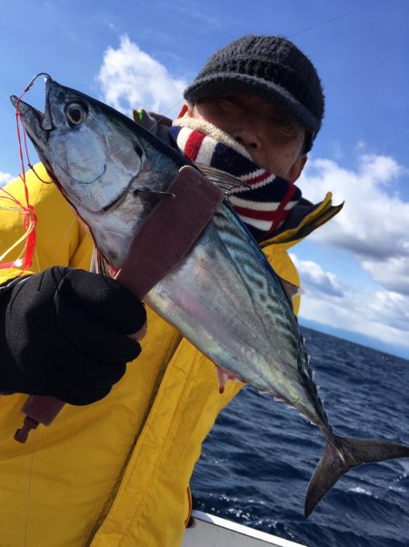 渡船屋たにぐち 釣果