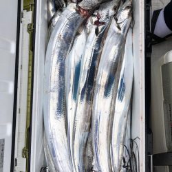 フィッシング　キッタカ 釣果