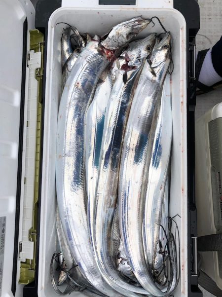 フィッシング　キッタカ 釣果