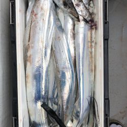 フィッシング キッタカ 釣果