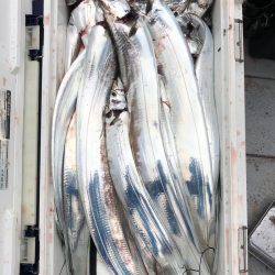 フィッシング キッタカ 釣果