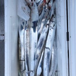 フィッシング キッタカ 釣果