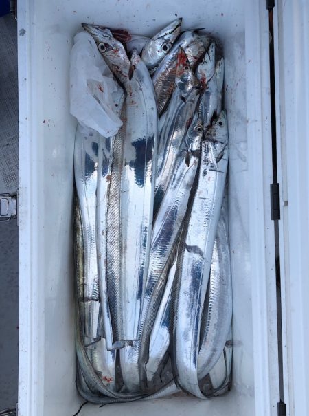 フィッシング キッタカ 釣果