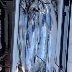 フィッシング　キッタカ 釣果