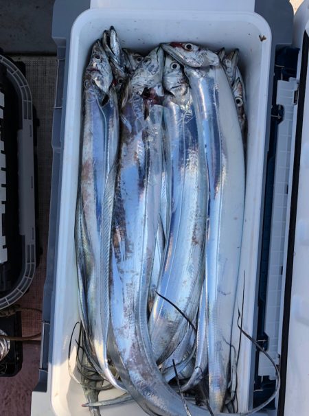 フィッシング　キッタカ 釣果