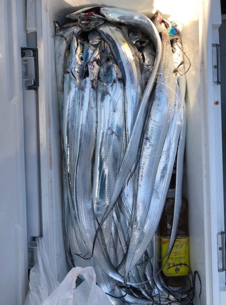 フィッシング キッタカ 釣果