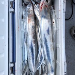 フィッシング キッタカ 釣果