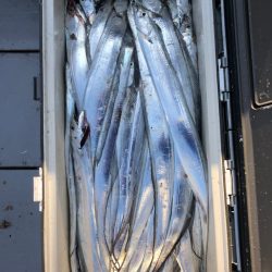 フィッシング キッタカ 釣果