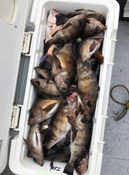 フィッシング　キッタカ 釣果