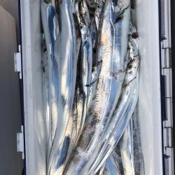 フィッシング　キッタカ 釣果