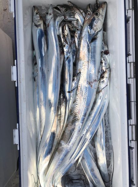 フィッシング　キッタカ 釣果