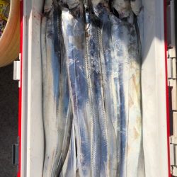 フィッシング　キッタカ 釣果