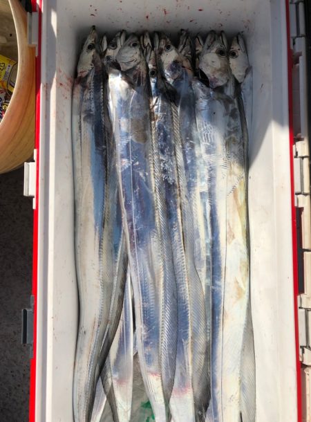 フィッシング　キッタカ 釣果