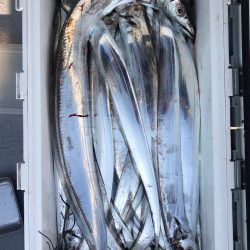 フィッシング キッタカ 釣果