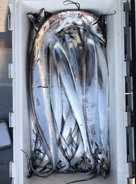 フィッシング キッタカ 釣果