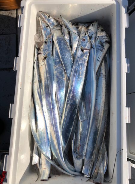 フィッシング　キッタカ 釣果