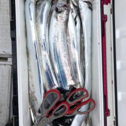 フィッシング キッタカ 釣果