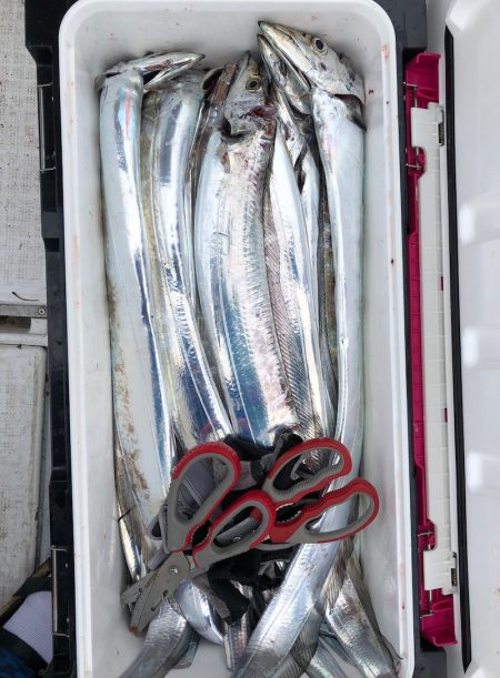 フィッシング キッタカ 釣果