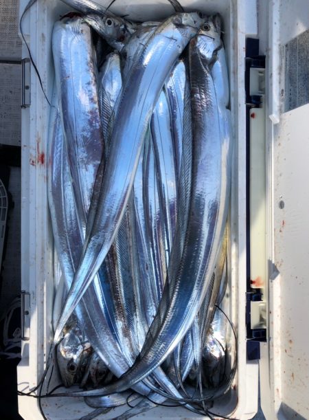 フィッシング　キッタカ 釣果