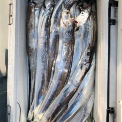 フィッシング キッタカ 釣果