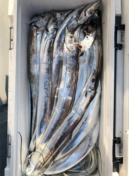 フィッシング キッタカ 釣果