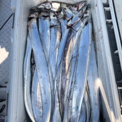 フィッシング キッタカ 釣果