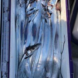 フィッシング キッタカ 釣果