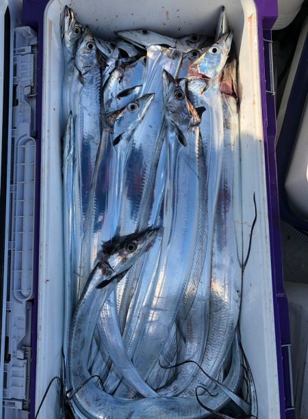 フィッシング　キッタカ 釣果