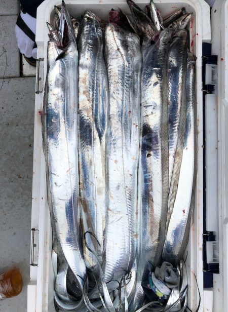 フィッシング　キッタカ 釣果