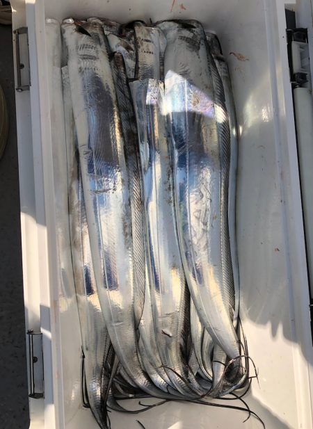 フィッシング　キッタカ 釣果