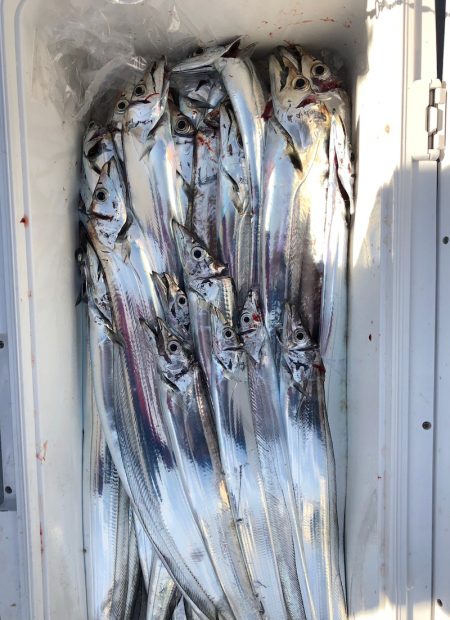 フィッシング キッタカ 釣果