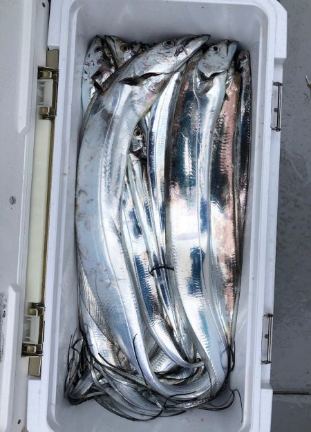 フィッシング　キッタカ 釣果