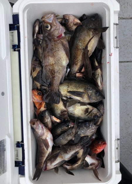 フィッシング　キッタカ 釣果