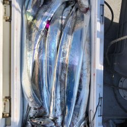 フィッシング　キッタカ 釣果