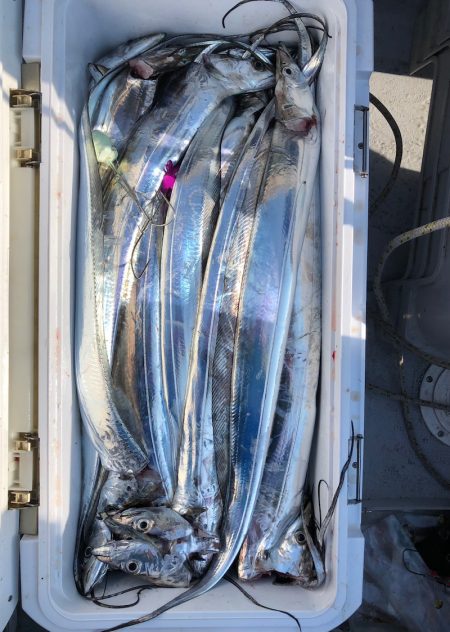 フィッシング　キッタカ 釣果