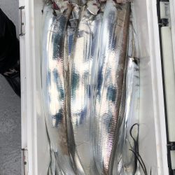 フィッシング　キッタカ 釣果